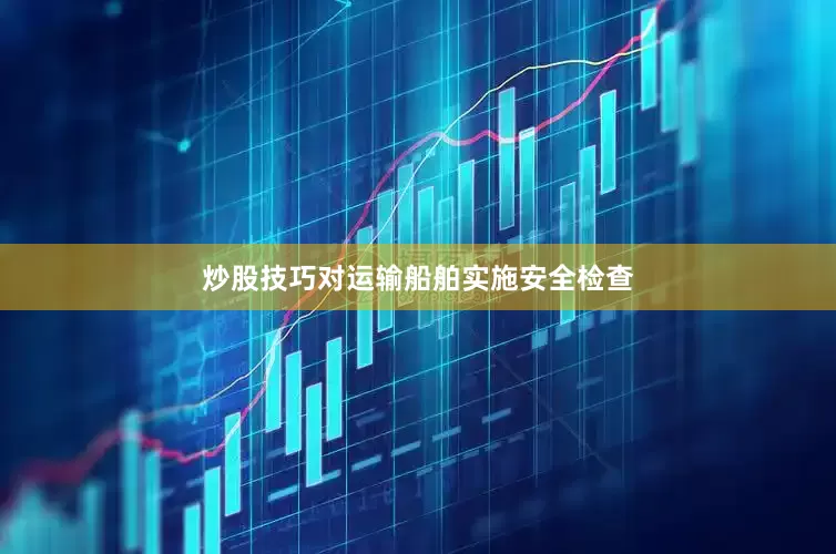 炒股技巧对运输船舶实施安全检查