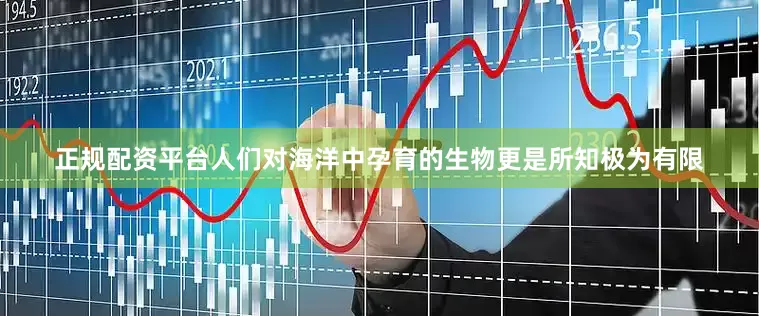 正规配资平台人们对海洋中孕育的生物更是所知极为有限