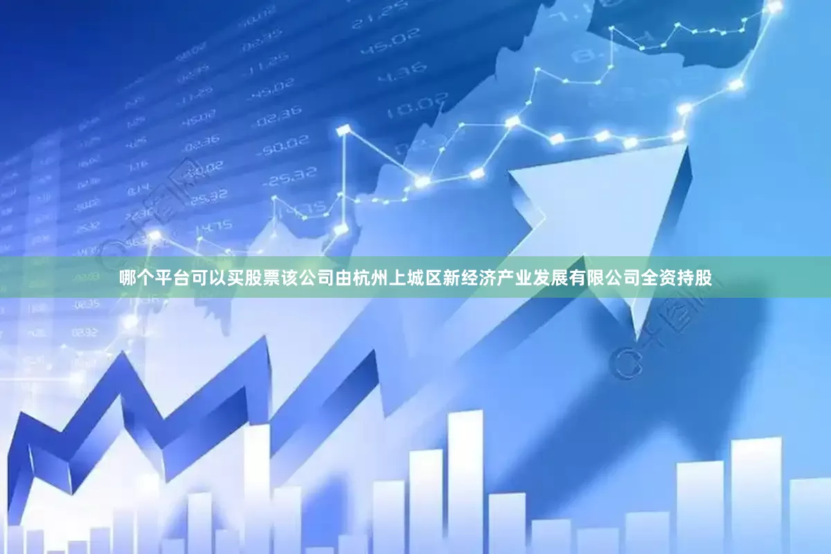 哪个平台可以买股票该公司由杭州上城区新经济产业发展有限公司全资持股