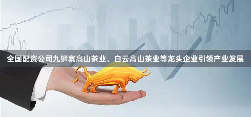 全国配资公司九狮寨高山茶业、白云高山茶业等龙头企业引领产业发展